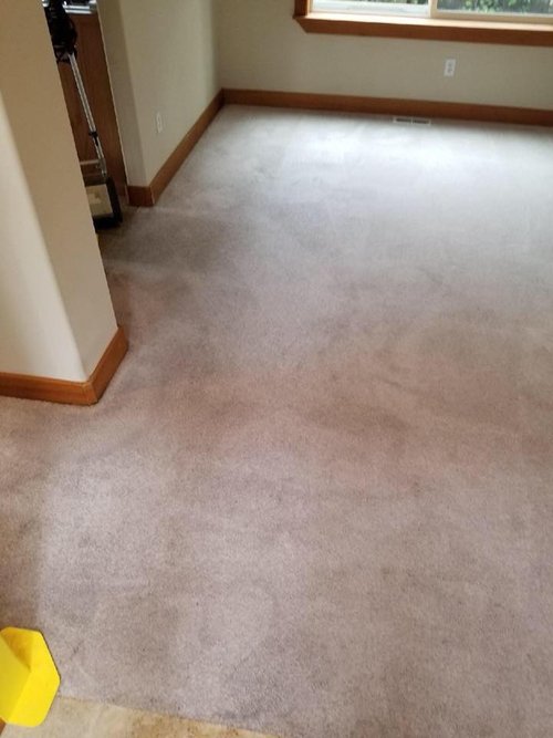 Carpet Cleaning After