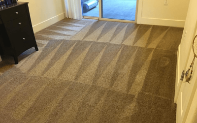 How to Choose a Professional Carpet Cleaning Company in San Jose