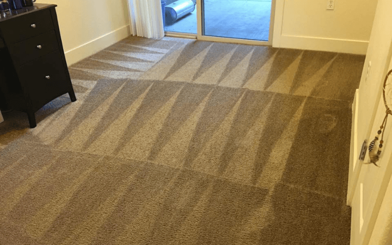 How to Choose a Professional Carpet Cleaning Company in San Jose