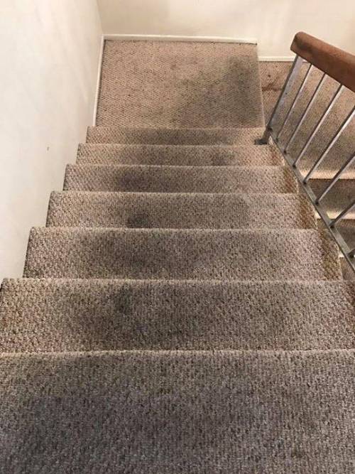 Stair case carpet cleaning -Before