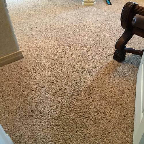 Carpet Stain Removal Before 
