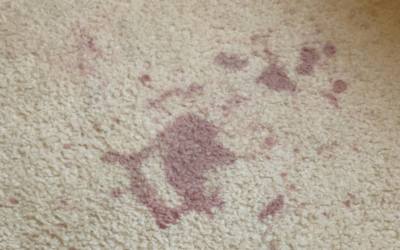 How Do You Get Old Stains Out Of Carpet?