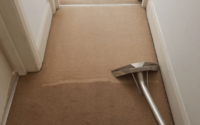 Benefits Of Steam Cleaning Your Carpet