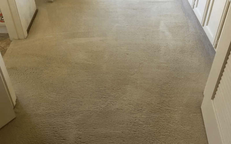 Advantages Of Carpet Cleaning From Experts