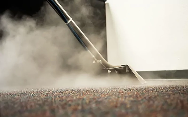 Can Steam Cleaning Extend The Life Of Your Carpet