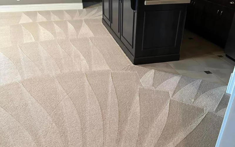 Common Carpet Stains And How To Remove Them?