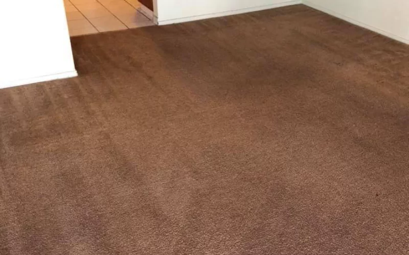 How Often Should You Clean Your Residential Carpet?