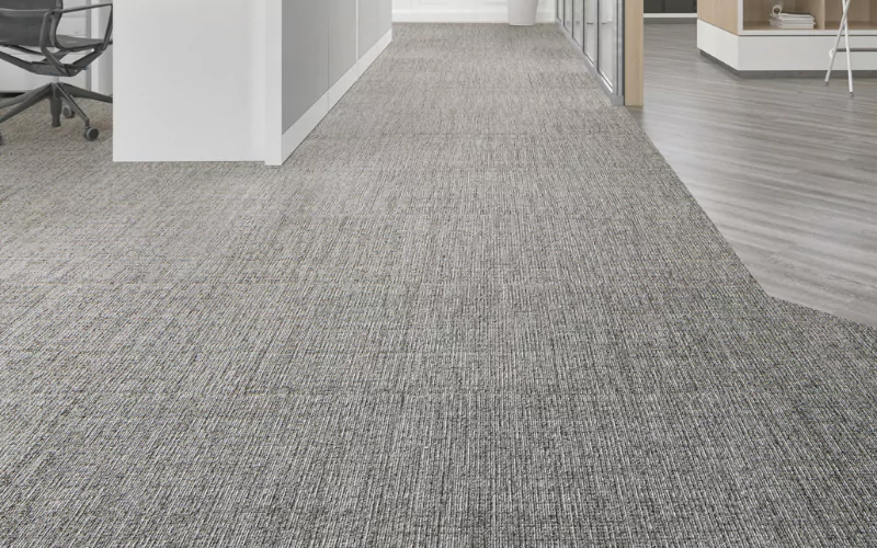 Why Regular Commercial Carpet Cleaning Is Essential For Your Business?