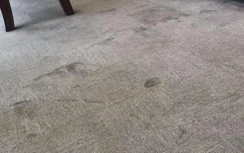 How To Remove Carpet  Stains Without Chemicals?