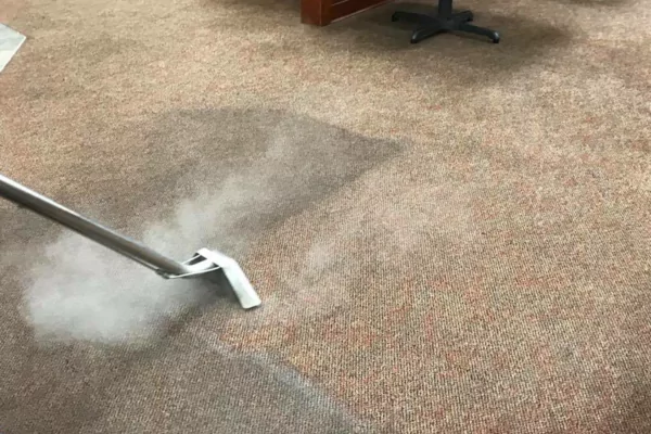 Steam Cleaning