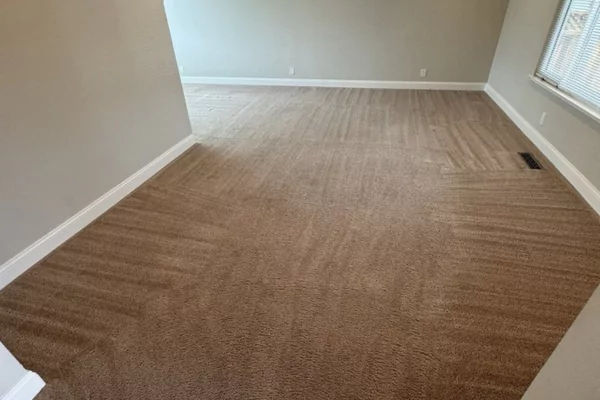 Tips to Keep Carpets Cleaned